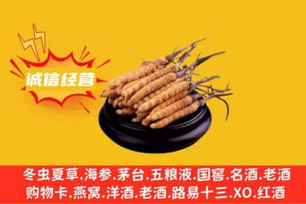 北海市银海回收冬虫夏草
